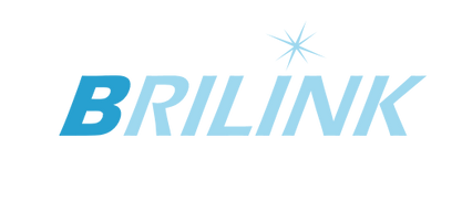 SERVICES | BRILINK